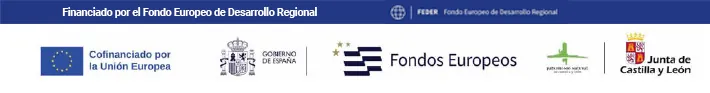 Financiado por el Fondo Europeo de Desarollo Rregional (FEDER)